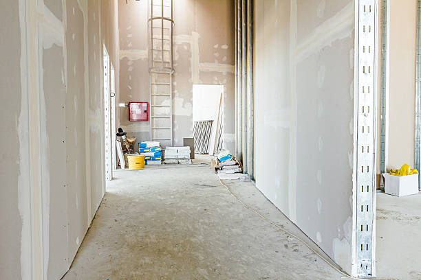 Best Drywall Removal and Disposal  in Reidland, KY